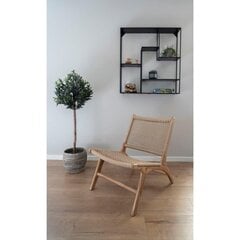 Кресло Derby, коричневый цена и информация | Садовые стулья, кресла, пуфы | 220.lv