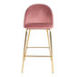 2-vu krēslu komplekts Lausanne, rozā цена и информация | Virtuves un ēdamistabas krēsli | 220.lv