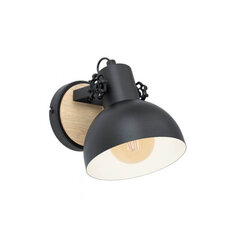 Eglo настенный светильник Lubenham 43164 цена и информация | Настенные светильники | 220.lv