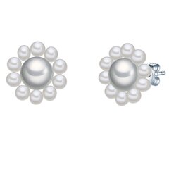 Серёжки Valero Pearls 891262338 цена и информация | Серьги | 220.lv