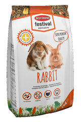 Корм BF для кроликов Festival Exclusive, 1 кг цена и информация | Корм для грызунов | 220.lv