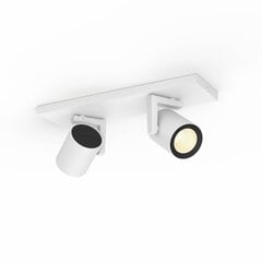 Philips Hue - Argenta plate/spiral - White and Color Ambiance (White) cena un informācija | Philips Apgaismojums | 220.lv