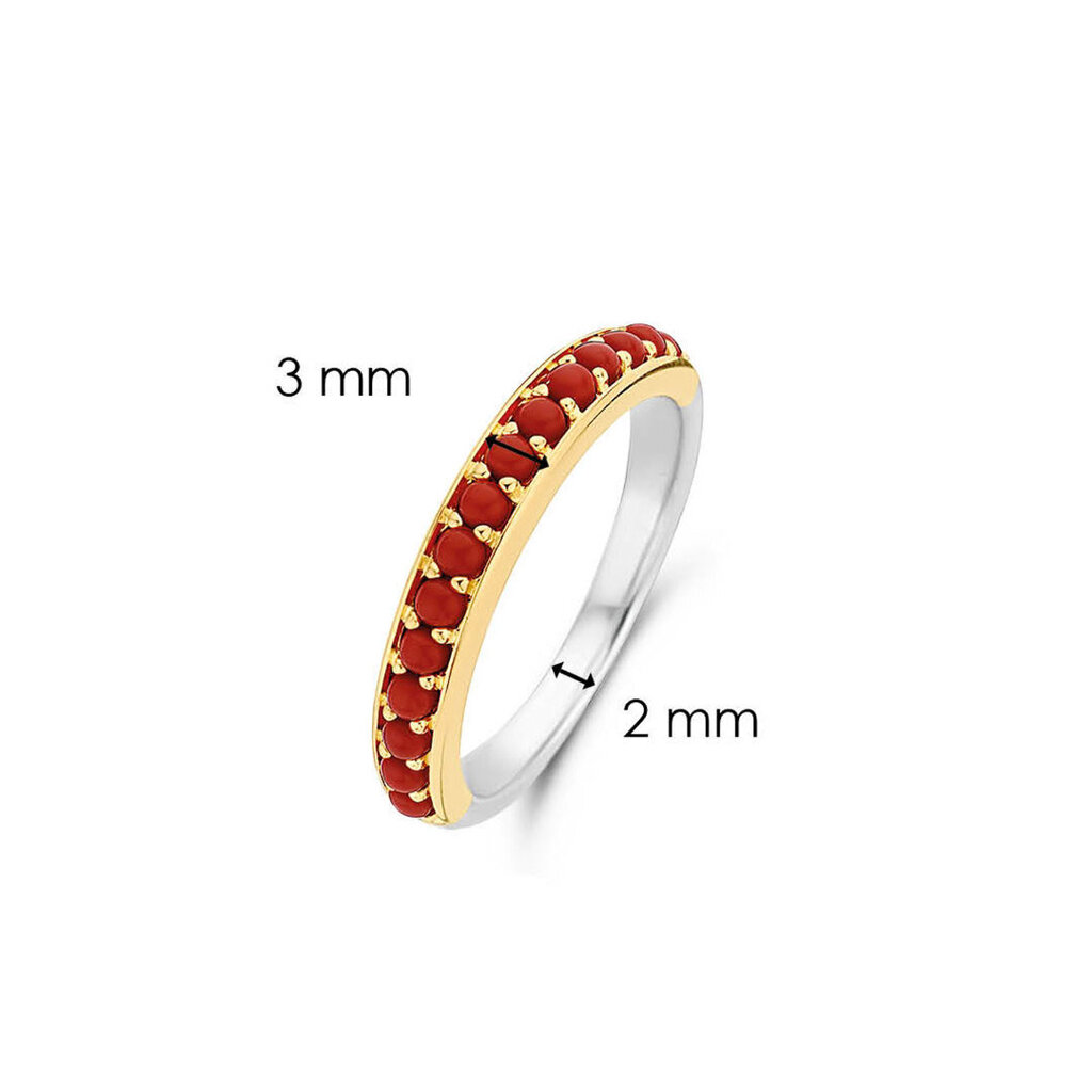 Ti Sento apzeltīts sudraba gredzens ar sarkaniem akmentiņiem 901013687 cena un informācija | Gredzeni | 220.lv