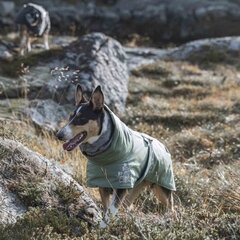 HURTTA куртка EXTREME WARMER ECO 40, зеленый цена и информация | Одежда для собак | 220.lv