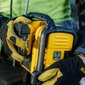 Dewalt DCR020-QW cena un informācija | Radioaparāti, modinātājpulksteņi | 220.lv