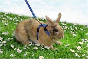 Поводок для кроликов Beeztees, 120 см цена и информация | Клетки и аксессуары для грызунов | 220.lv
