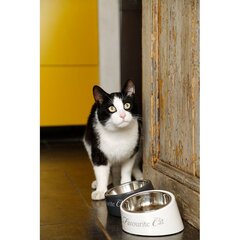 Меламиновая миска для кошек Beeztees DBL, белая цена и информация | Миски, ящики для корма | 220.lv