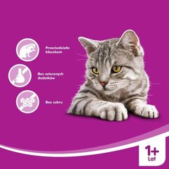 Whiskas лакомство для взрослых кошек Anti-Hairball, 50 г цена и информация | Лакомства для кошек | 220.lv