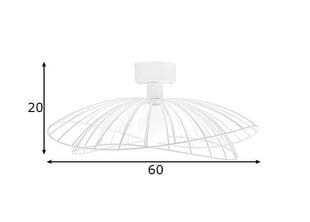 Griestu un sienas lampa Ray, balta, 60 W 891031784 cena un informācija | Griestu lampas | 220.lv