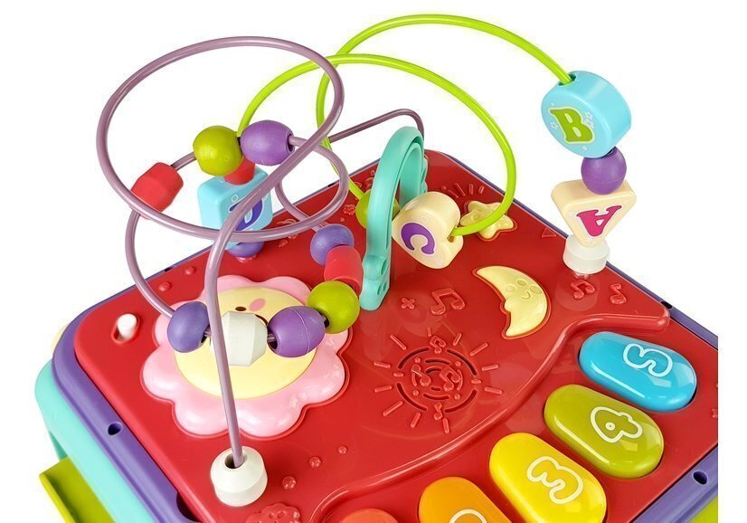 Daudzfunkcionāls izglītojošs kubs Lean Toys Game House цена и информация | Rotaļlietas zīdaiņiem | 220.lv