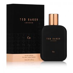 Ted Baker Cu EDT для мужчин 100 мл. цена и информация | Мужские духи | 220.lv