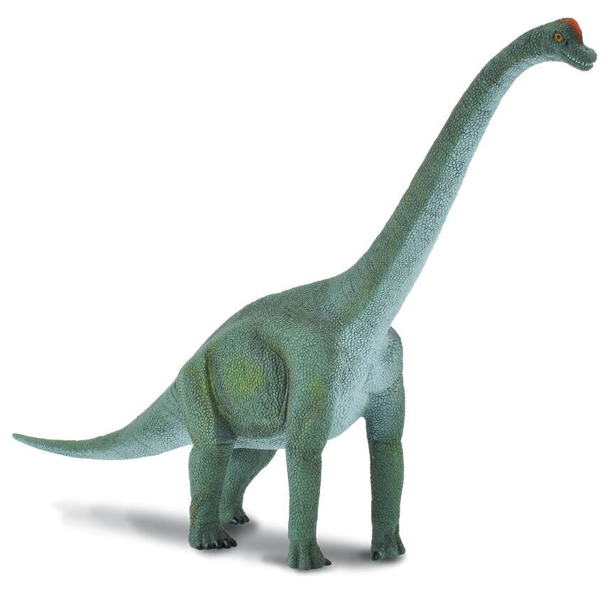 COLLECTA (L) Dinozaurs - Brachiosaurus 8 цена и информация | Rotaļlietas zēniem | 220.lv