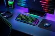 Razer BlackWidow V3 Mini HyperSpeed Phantom Edition цена и информация | Klaviatūras | 220.lv