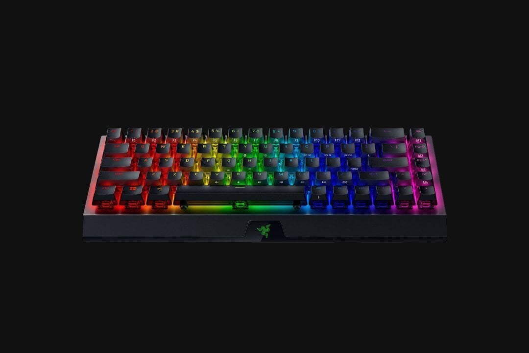 Razer BlackWidow V3 cena un informācija | Klaviatūras | 220.lv