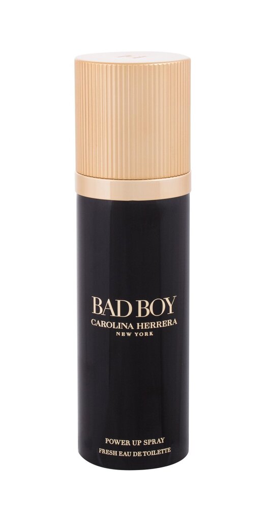 Carolina Herrera Bad Boy Power up Spray EDT vīriešiem 100 ml cena un informācija | Vīriešu smaržas | 220.lv