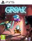 PS5 Greak: Memories of Azur цена и информация | Datorspēles | 220.lv