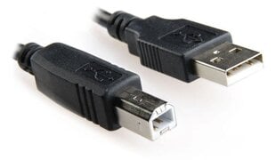 Gembird CCF-USB2-AMBM-6 USB 2.0 A-plug AM-BM Printera vads Printer Cable 1.8m   cena un informācija | Kabeļi un vadi | 220.lv