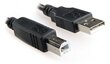 Gembird CCF-USB2-AMBM-6 USB 2.0 A-plug AM-BM Printera vads Printer Cable 1.8m   цена и информация | Kabeļi un vadi | 220.lv