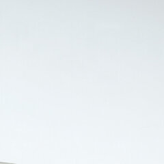Polistirola loksne Guttagliss, 2,5 mm, gluda, caurspīdīga, 0,5 x 1,0 m cena un informācija | Griestu, sienu dekoru elementi | 220.lv