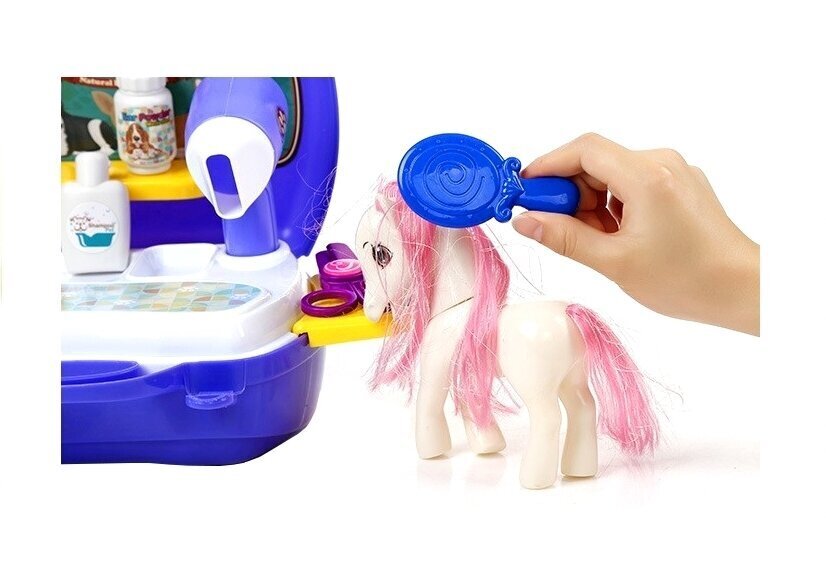Bērnu ponija kopšanas komplekts цена и информация | Rotaļlietas meitenēm | 220.lv