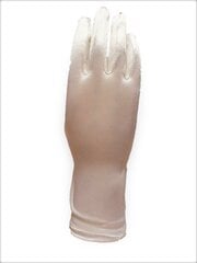 Перчатки для женщин цена и информация | Женские перчатки | 220.lv