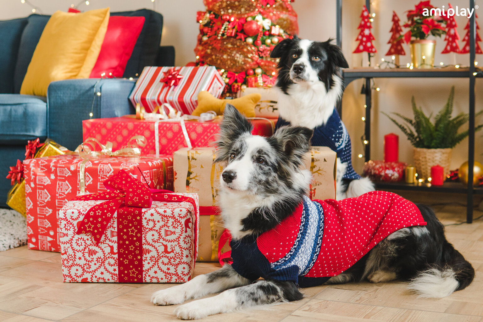 Amiplay džemperis sunim Bergen Red, 42 cm cena un informācija | Apģērbi suņiem | 220.lv