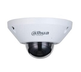 NET CAMERA 5MP FISHEYE DOME/DH-IPC-EB5541-AS DAHUA цена и информация | Камеры видеонаблюдения | 220.lv