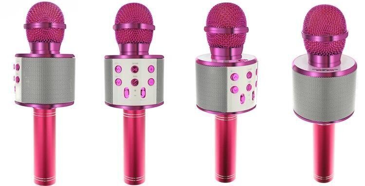 Karaoke mikrofons - skaļrunis ar balss maiņas efektiem cena un informācija | Attīstošās rotaļlietas | 220.lv