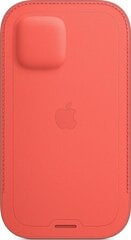 Apple vāciņš, piemērots Iphone 12, sarkans cena un informācija | Telefonu vāciņi, maciņi | 220.lv