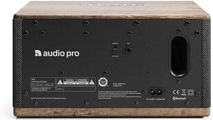 Audio Pro BT 5, pelēks/brūns цена и информация | Аудиоколонки | 220.lv