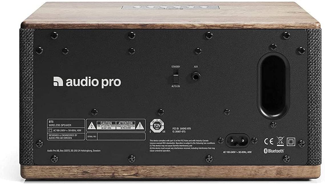 Audio Pro BT 5, pelēks/brūns цена и информация | Skaļruņi | 220.lv