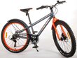 Bērnu velosipēds Volare Rocky, 24”, pelēks цена и информация | Velosipēdi | 220.lv