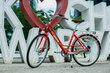 Elektriskais velosipēds Oolter Etta, S izmērs, sarkans cena un informācija | Elektrovelosipēdi | 220.lv