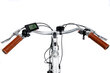 Elektriskais velosipēds Oolter Etta 28", balts/pelēks cena un informācija | Elektrovelosipēdi | 220.lv