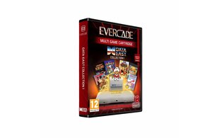 Data East Collection 1 incl. 10 Games, Evercade cena un informācija | Datorspēles | 220.lv