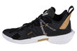 Sporta apavi Nike Jordan cena un informācija | Sporta apavi vīriešiem | 220.lv