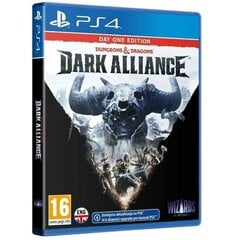 Dungeons & Dragons: Dark Alliance - Steelbook Edition, PS4 cena un informācija | Datorspēles | 220.lv