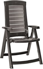 Dārza krēsls Aruba, pelēks cena un informācija | Dārza krēsli | 220.lv