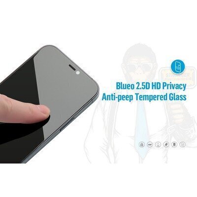 5D Mr. Monkey Glass - Apple iPhone 12/12 Pro (6,1") black (Strong Privacy) цена и информация | Ekrāna aizsargstikli | 220.lv
