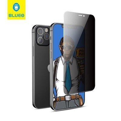 5D Mr. Monkey Glass - Apple iPhone 12/12 Pro (6,1") black (Strong Privacy) цена и информация | Ekrāna aizsargstikli | 220.lv