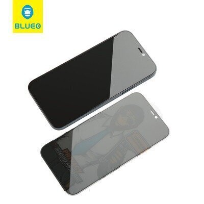 5D Mr. Monkey Glass - Apple iPhone 12/12 Pro (6,1") black (Strong Privacy) цена и информация | Ekrāna aizsargstikli | 220.lv