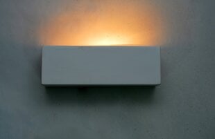 Krāsojama sienas lampa G.LUX WL352-1 цена и информация | Настенные светильники | 220.lv