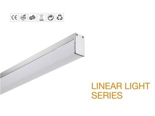 LED griestu lampa G.LUX GR-LED11-15,5 W LINE цена и информация | Потолочные светильники | 220.lv