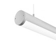 LED griestu lampa G.LUX GR-LED10-22 W LINE цена и информация | Griestu lampas | 220.lv