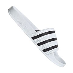 Vīriešu čības Adidas Adilette M 280648, 70531, baltas цена и информация | Мужские шлепанцы, босоножки | 220.lv