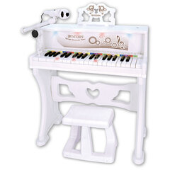 BONTEMPI elektroniskās klavieres ar mikrofonu, 10 8000 cena un informācija | Attīstošās rotaļlietas | 220.lv