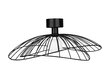 Globen Lighting lampa Ray цена и информация | Griestu lampas | 220.lv