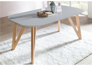 Обеденный стол 120x80 см цена и информация | Кухонные и обеденные столы | 220.lv