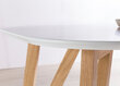 Ēdamistabas galds, 120 x 80 cm, balts cena un informācija | Virtuves galdi, ēdamgaldi | 220.lv