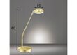 Fischer &amp; Honsel galda lampa Dent cena un informācija | Galda lampas | 220.lv